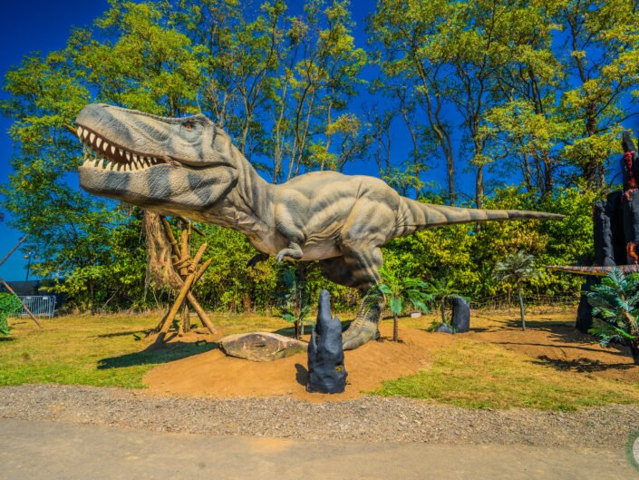 2023 Lost Lands: Part 1